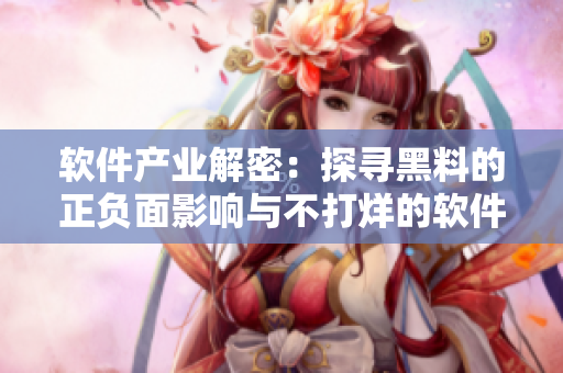 软件产业解密：探寻黑料的正负面影响与不打烊的软件开发之道