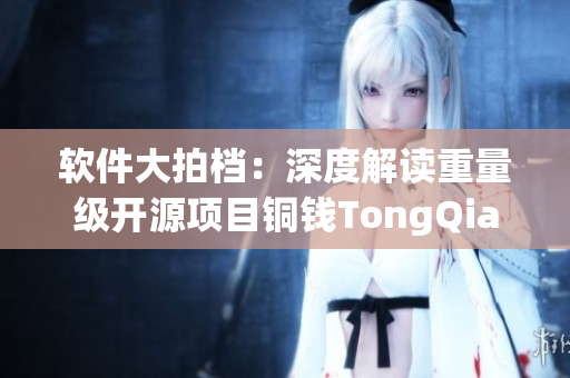 软件大拍档：深度解读重量级开源项目铜钱TongQian