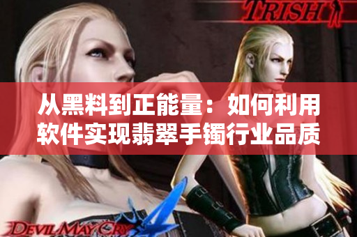 从黑料到正能量：如何利用软件实现翡翠手镯行业品质管理