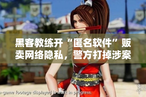 黑客教练开“匿名软件”贩卖网络隐私,警方打掉涉案网络 黑客教练开“匿名软件”贩卖网络隐私,警方打掉涉案网络