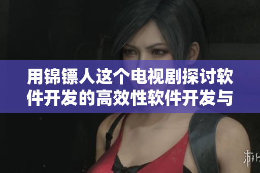 用锦镖人这个电视剧探讨软件开发的高效性软件开发与锦镖人：何者更为艰巨？
