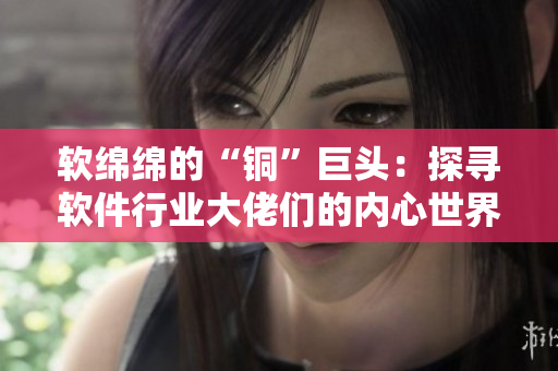 软绵绵的“铜”巨头：探寻软件行业大佬们的内心世界