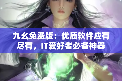 九幺免费版：优质软件应有尽有，IT爱好者必备神器