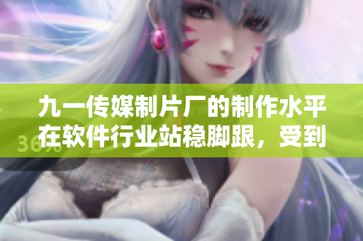 九一传媒制片厂的制作水平在软件行业站稳脚跟,受到广泛赞誉 九一传媒制片厂的制作水平在软件行业站稳脚跟,受到广泛赞誉