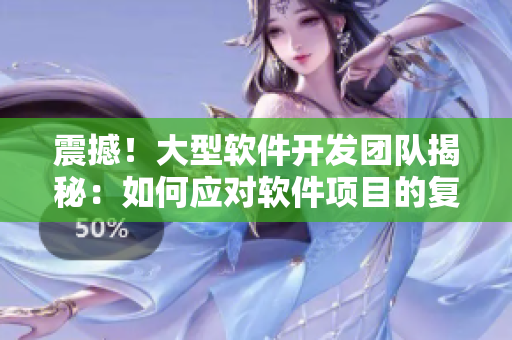 震撼！大型软件开发团队揭秘：如何应对软件项目的复杂性
