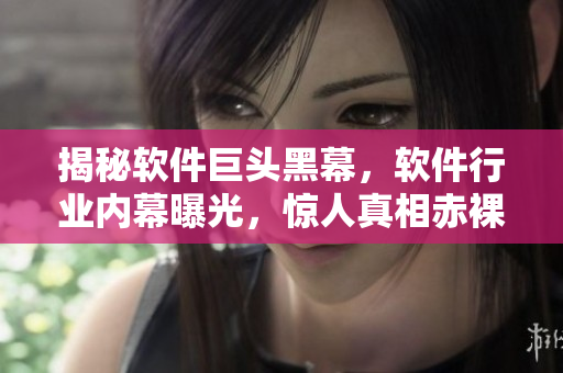 揭秘软件巨头黑幕,软件行业内幕曝光,惊人真相赤裸裸 揭秘软件巨头黑幕,软件行业内幕曝光,惊人真相赤裸裸