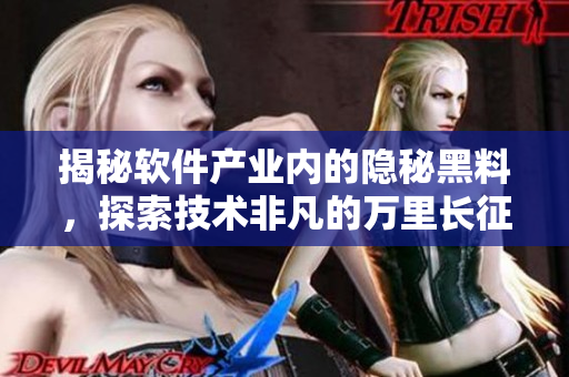 揭秘软件产业内的隐秘黑料，探索技术非凡的万里长征