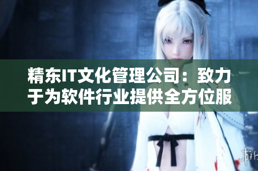 精东IT文化管理公司：致力于为软件行业提供全方位服务
