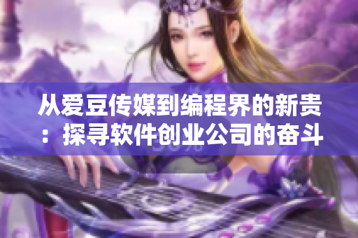 从爱豆传媒到编程界的新贵：探寻软件创业公司的奋斗历程