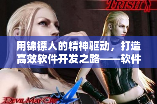 用锦镖人的精神驱动，打造高效软件开发之路——软件开发精神启示录