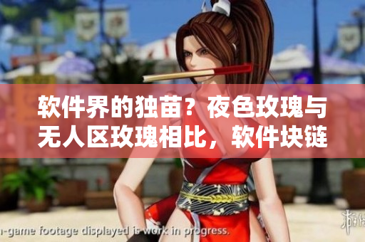 软件界的独苗？夜色玫瑰与无人区玫瑰相比，软件块链技术贵多少？