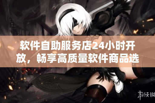 软件自助服务店24小时开放，畅享高质量软件商品选择