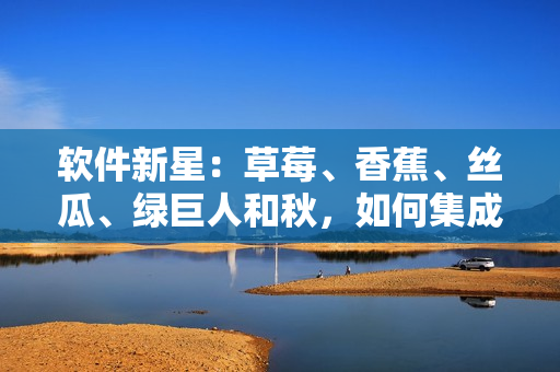 软件新星：草莓、香蕉、丝瓜、绿巨人和秋，如何集成成完美的软件开发组合