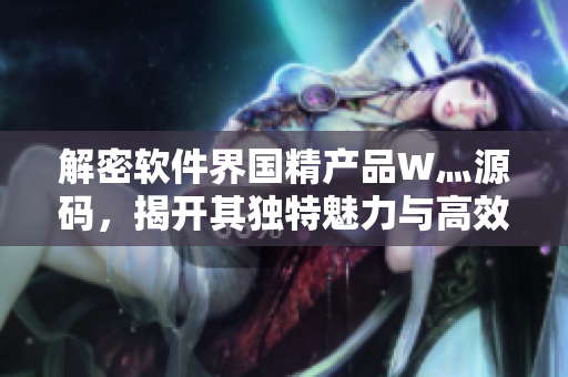 解密软件界国精产品W灬源码，揭开其独特魅力与高效性能的秘密