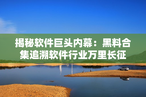 揭秘软件巨头内幕:黑料合集追溯软件行业万里长征 揭秘软件巨头内幕:黑料合集追溯软件行业万里长征