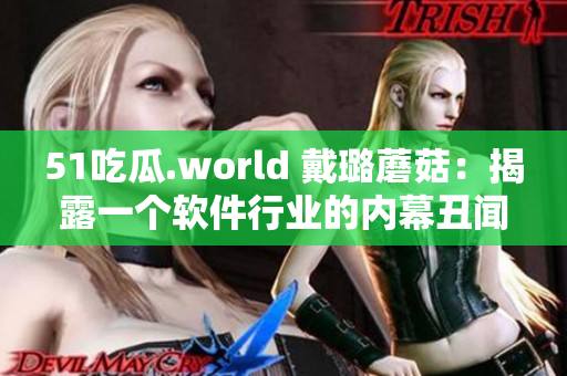 51吃瓜.world 戴璐蘑菇：揭露一个软件行业的内幕丑闻