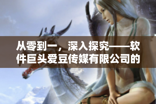 从零到一，深入探究——软件巨头爱豆传媒有限公司的创立与发展