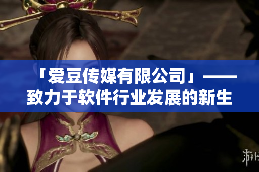 「爱豆传媒有限公司」——致力于软件行业发展的新生力量！