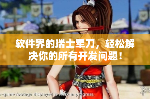 软件界的瑞士军刀，轻松解决你的所有开发问题！