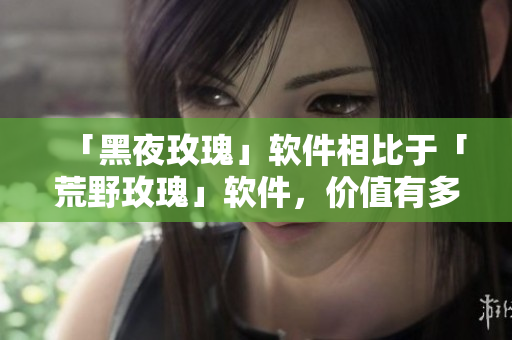 「黑夜玫瑰」软件相比于「荒野玫瑰」软件，价值有多大的差异？