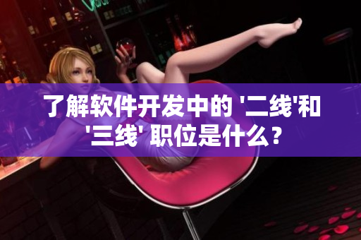 了解软件开发中的 '二线'和 '三线' 职位是什么？