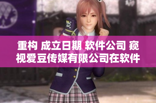 重构 成立日期 软件公司 窥视爱豆传媒有限公司在软件行业的崛起