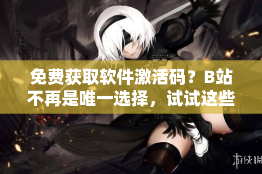 免费获取软件激活码？B站不再是唯一选择，试试这些替代方案吧！