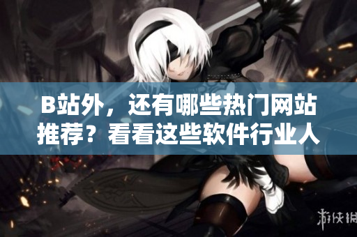 B站外，还有哪些热门网站推荐？看看这些软件行业人士分享的经验！