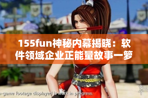 155fun神秘内幕揭晓:软件领域企业正能量故事一箩筐! 155fun神秘内幕揭晓:软件领域企业正能量故事一箩筐!