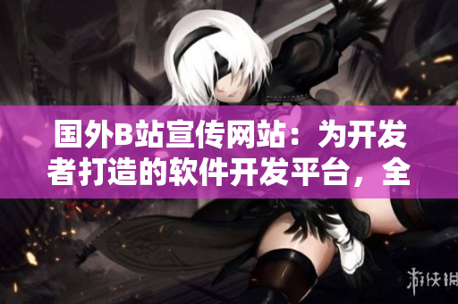 国外B站宣传网站：为开发者打造的软件开发平台，全方位提升编码技能