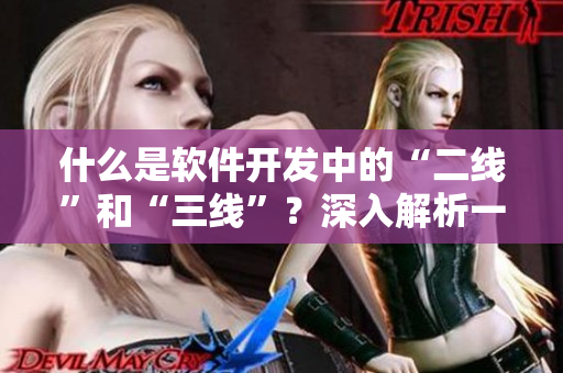 什么是软件开发中的“二线”和“三线”?深入解析一个程序员必知的术语 什么是软件开发中的“二线”和“三线”?深入解析一个程序员必知的术语