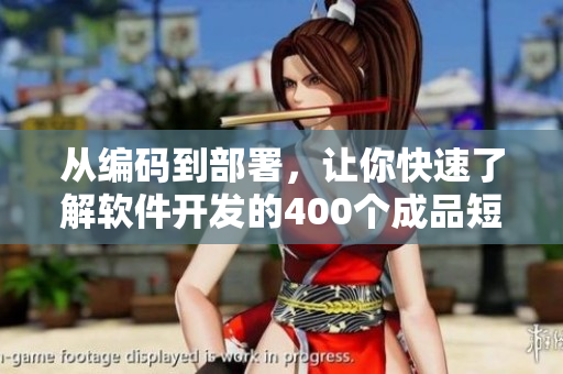 从编码到部署,让你快速了解软件开发的400个成品短视频! 从编码到部署,让你快速了解软件开发的400个成品短视频!