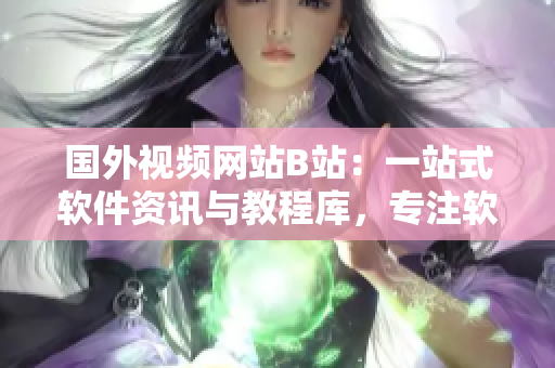 国外视频网站B站：一站式软件资讯与教程库，专注软件相关文章编写！