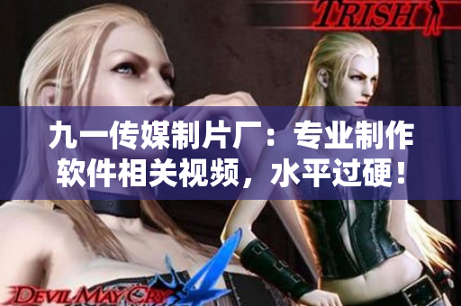 九一传媒制片厂：专业制作软件相关视频，水平过硬！
