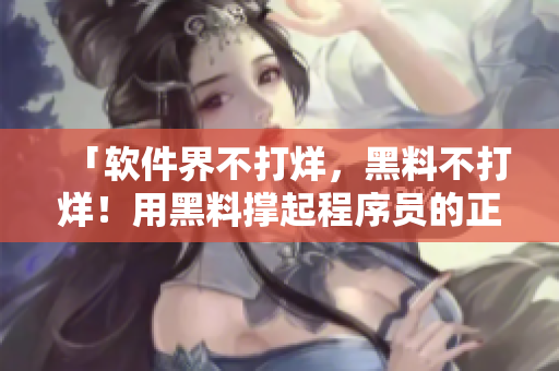 「软件界不打烊，黑料不打烊！用黑料撑起程序员的正能量」