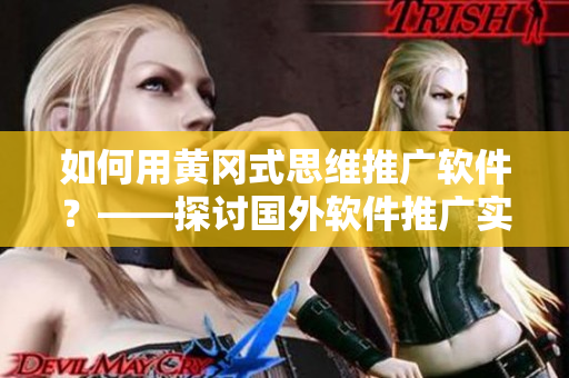 如何用黄冈式思维推广软件？——探讨国外软件推广实践。