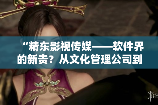 “精东影视传媒——软件界的新贵？从文化管理公司到技术领袖！”