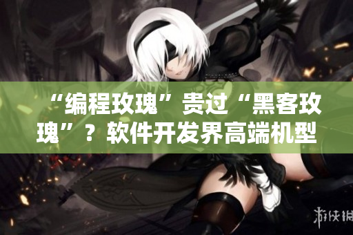 “编程玫瑰”贵过“黑客玫瑰”?软件开发界高端机型评测 “编程玫瑰”贵过“黑客玫瑰”?软件开发界高端机型评测