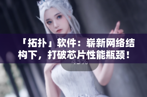 「拓扑」软件：崭新网络结构下，打破芯片性能瓶颈！——软件编写者视角
