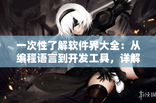 一次性了解软件界大全:从编程语言到开发工具,详解原理与技巧 一次性了解软件界大全:从编程语言到开发工具,详解原理与技巧