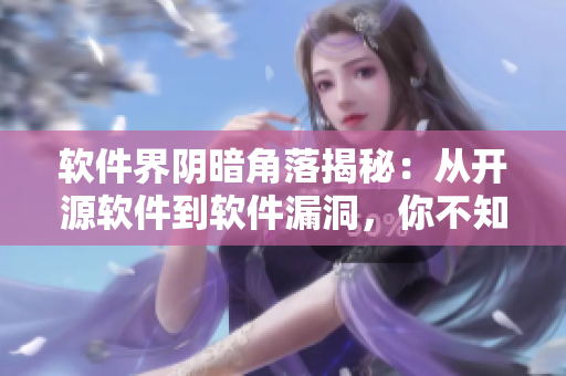 软件界阴暗角落揭秘：从开源软件到软件漏洞，你不知道的黑科技