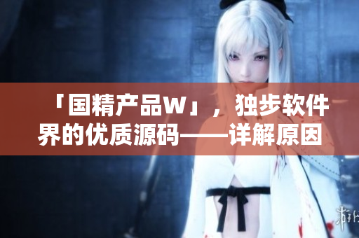 「国精产品W」，独步软件界的优质源码——详解原因和价值！