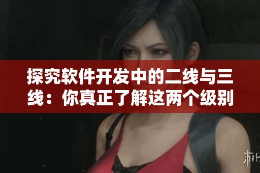 探究软件开发中的二线与三线：你真正了解这两个级别吗？