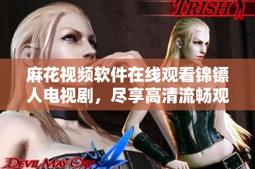 麻花视频软件在线观看锦镖人电视剧，尽享高清流畅观影体验