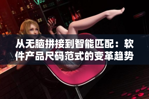 从无脑拼接到智能匹配：软件产品尺码范式的变革趋势