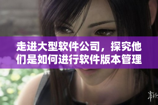 走进大型软件公司，探究他们是如何进行软件版本管理的