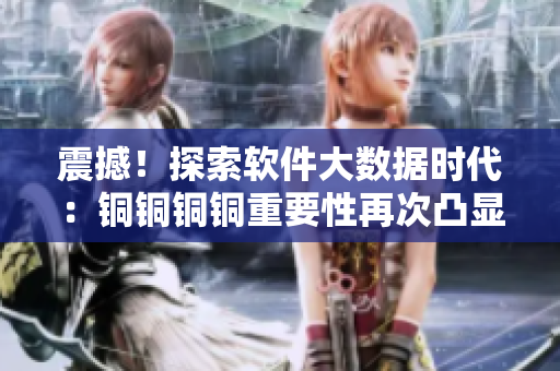 震撼！探索软件大数据时代：铜铜铜铜重要性再次凸显