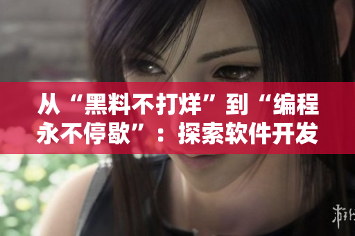从“黑料不打烊”到“编程永不停歇”：探索软件开发领域的正能量和挑战