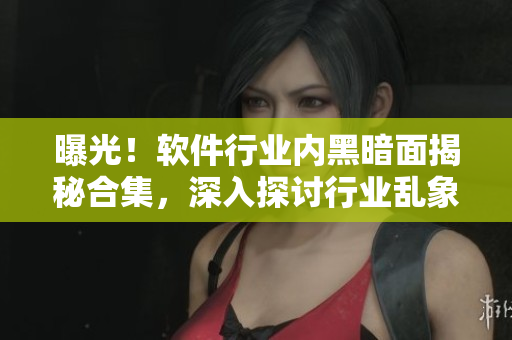曝光！软件行业内黑暗面揭秘合集，深入探讨行业乱象与改进方案