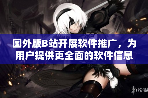 国外版B站开展软件推广，为用户提供更全面的软件信息和技术文章